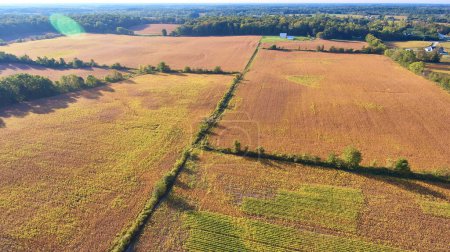 Luftaufnahme ausgedehntes Ackerland in Kendallville, Indiana, zeigt reiche Erntevielfalt und geometrische Feldmuster