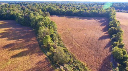 Aerial View of Harvested Field Meeting Dense Forest in Rural Indiana