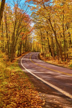 Autumn Journey through Keweenaws Forest, Michigan - Eine kurvenreiche Straße, die von lebendigem Herbstlaub und abgefallenem Laub bedeckt ist, 2017