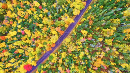 Photo for Breathtaking aerial view of a winding road through vibrant autumn forest in Copper Harbor, Michigan, captured by a DJI Phantom 4 drone in 2017 - Royalty Free Image