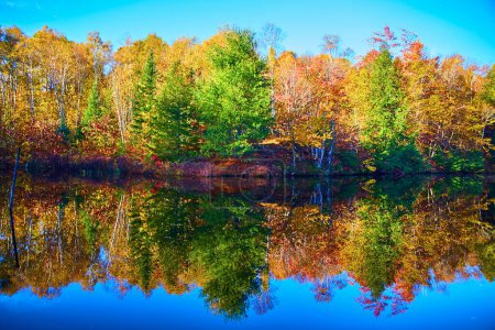 Foto de Reflexión de otoño vibrante en Hungarian Falls, Michigan - Lago Sereno en medio del colorido follaje otoñal en 2017 - Imagen libre de derechos