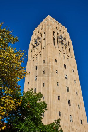 Historic Burton Memorial Tower, University of Michigan, displaying intricate clock faces against a clear blue sky, surrounded by autumnal trees