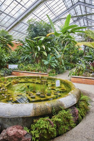 Foto de Exuberante invernadero tropical en Matthaei Botanical Gardens en Ann Arbor, Michigan - Imagen libre de derechos