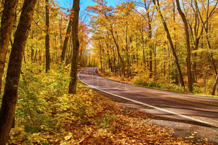 Splendeur d'automne sur une route panoramique à Keweenaw, Michigan avec des feuilles d'automne vibrantes et une forêt dense