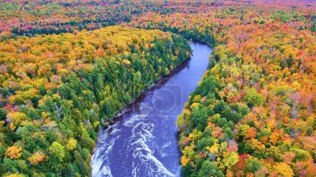 Aerial View of Vibrant Fall Foliage along Tahquamenon River, Michigan, Captured by Drone