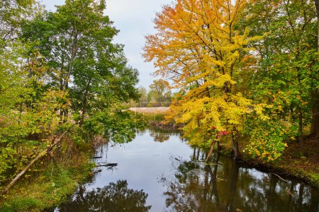 Vibrantes colores otoñales reflejados en el sereno río Michigan, mostrando un cambio estacional en un entorno rural tranquilo