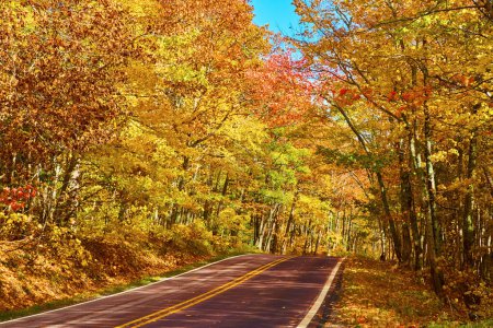 Autumn Drive Through Vibrant Michigan Foliage, 2017 - Eine malerische Reise auf einer kurvenreichen Straße, die von Keweenaws dichtem Wald umgeben ist und ein Spektrum atemberaubender Herbstfarben präsentiert.