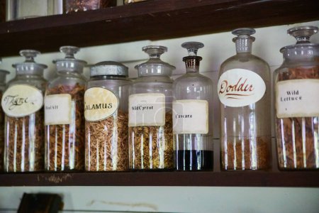 Vintage Apothecary Shelf Displaying Hand-Labeled Glass Jars with Dried Botanicals in Indiana, 2017
