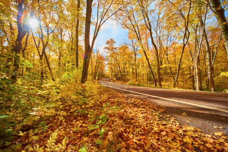 Voyage d'automne à travers la forêt animée de Keweenaw, Michigan - 2017
