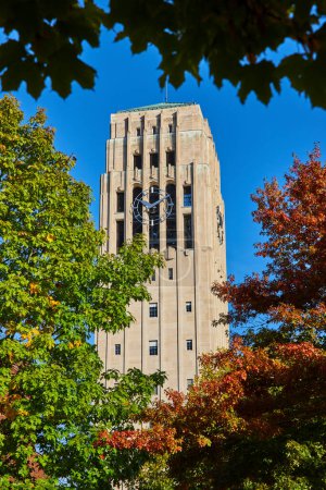 Automne à l'Université du Michigan présentant l'historique Burton Memorial Clock Tower encadrée par des feuilles d'automne vibrantes