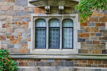 Nahaufnahme neoklassischer Steinarchitektur mit Gitterfenstern im historischen Law Quadrangle der University of Michigans in Ann Arbor, die zeitlose Handwerkskunst präsentiert.