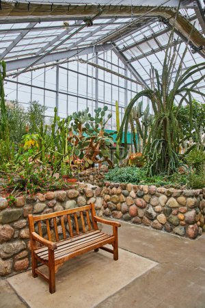 Tranquil greenhouse scene with diverse cacti and succulents, rustic wooden bench for relaxation, and sunlit interior at Matthaei Botanical Gardens, Ann Arbor, Michigan