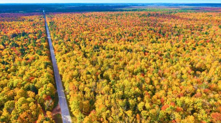 Breathtaking Aerial View of Dense Michigan Forest in Autumn with Vivid Fall Colors and Serene Two-Lane Road, Captured by DJI Phantom 4 Drone in 2017
