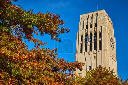 Otoño en la Universidad de Michigan, con la histórica Burton Memorial Clock Tower contra un cielo azul claro