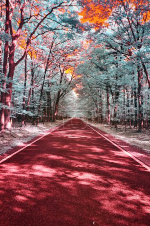 Viaje de otoño surrealista en una carretera vibrante a través del túnel de árboles de Michigans, capturado con infrarrojos en 2017