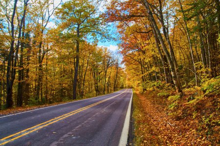 Herbstreise in Michigan - Lebendige Herbstblätter rahmen eine ruhige Landstraße ein, 2017