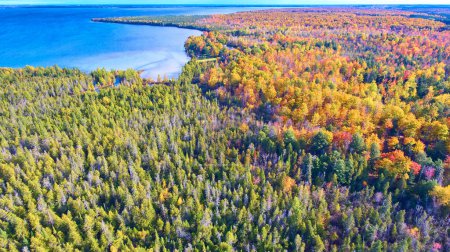 Luftaufnahme des lebhaften Autumn Forest by Lake, Palms Book State Park, Michigan