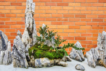 Miniature zen garden with bonsai tree and rocky terrain, showcased in Matthaei Botanical Gardens in Michigan