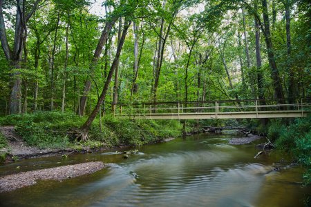 Scène de forêt d'été sereine avec pont en bois sur le ruisseau, Acres du bicentenaire, Indiana, 2017