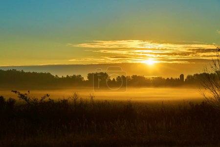 Heiterer Sonnenaufgang über nebliger Landschaft in Michigan, der den goldenen Schein eines Herbstmorgens einfängt