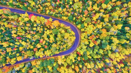 Aerial view of a winding asphalt road through vibrant fall foliage in Copper Harbor, Michigan, captured by a DJI Phantom 4 drone in 2017
