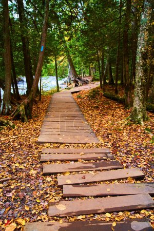 Autumn leaves on wooden boardwalk through serene forest in Michigans LAnse Township, Canyon Falls Trail, 2017