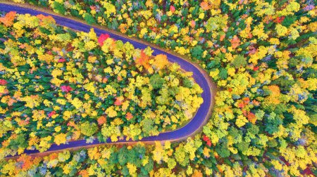 Aerial View of Winding Road Through Vibrant Autumn Forest in Copper Harbor, Michigan