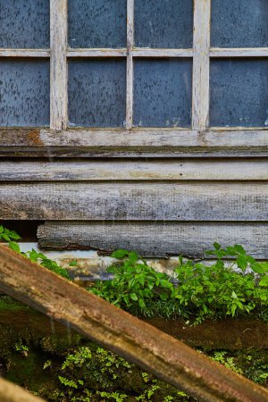 Téléchargez les photos : Structure en bois en décomposition avec peinture écaillée et fenêtre sale récupérée par la nature dans Spring Mills State Park, Indiana, 2017 - en image libre de droit