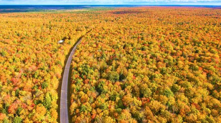 2017 Aerial View of Winding Road Through Vibrant Michigan Autumn Forest, Captured by DJI Phantom 4 Drone