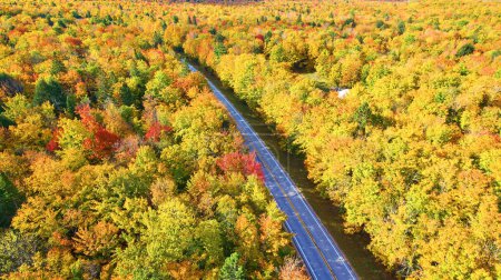 Aerial view of a scenic road winding through a vibrant autumn forest in Michigan, captured with a DJI Phantom 4 drone in 2017
