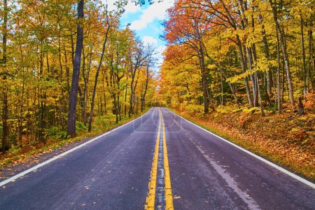 Des feuilles d'automne couvrent une route sereine et vide à Keweenaw, Michigan, invitant à une exploration paisible au milieu de couleurs automnales vibrantes.