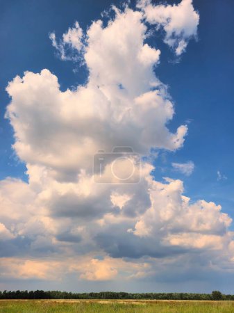 Sunlit Cumulus Clouds over Lush Greenery at Killdeer Wetlands, Illinois 2022 - A Serene Landscape Depicting the Vastness of Nature.