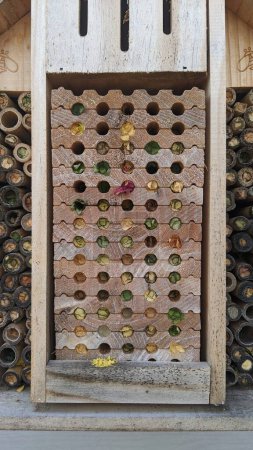 Eco-friendly bee hotel, intricately designed with bamboo, wood, and pine cones, supporting biodiversity in a garden setting
