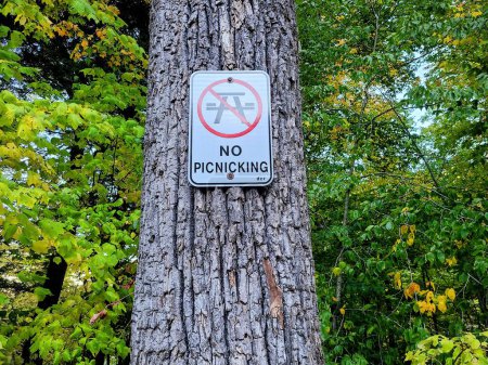 No Picnicking sign on a tree in Massachusetts park, amidst early autumn foliage, promoting responsible outdoor ethics
