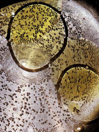 Makroaufnahme funkelnder Blasen in goldener Flüssigkeit, abstrakte organische Kunst aus Fort Wayne, Indiana, 2022