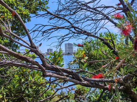 Oasis urbano frente al mar en Oakland, California, 2023 - Lush Garden Meets Modern Cityscape