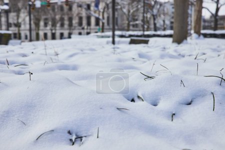 Heitere Winterszene am Fort Waynes Freimann Square, mit Nahaufnahme einer Schneedecke, unterbrochen von widerstandsfähigen Grashalmen und einer verschwommenen urbanen Kulisse.