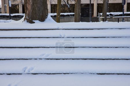 Pasos nevados en la soledad urbana: una tranquila escena de invierno con nieve virgen en los escalones, un único rastro de huellas y una visión del centro de Fort Wayne, Indiana.