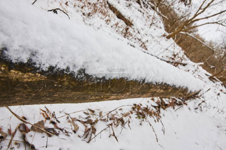 Frische Winterpracht im Cooks Landing County Park, Indiana. Gefallener Baumstamm in Schnee gehüllt, eingetaucht in ruhige Waldeinsamkeit.