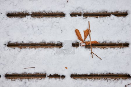 Winterruhe in Fort Wayne, Indiana - Verschneite Bahngleise schlängeln sich durch Naturschutzgebiete in Whitehurst