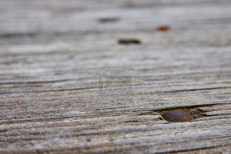 Rustikaler Charme aus gealtertem Holz und rostigen Nägeln im Lindenwood Preserve, Indiana