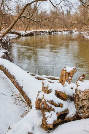 Winters Tranquility at Cooks Landing County Park, Indiana - Snow-Coated Wilderness with a Serene River View