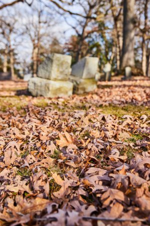 Téléchargez les photos : Couverture d'automne au cimetière Lindenwood - Une vue sereine des feuilles tombées ornant le terrain d'un cimetière emblématique de l'Indiana, faisant allusion au cycle de la vie. - en image libre de droit