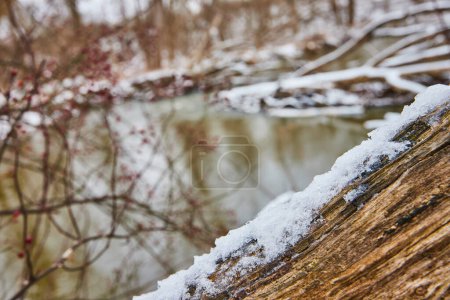Heitere Winterszene im Cooks Landing County Park, Indiana - verschneiter Baumstamm und teilweise gefrorener Fluss inmitten karger Wildnis