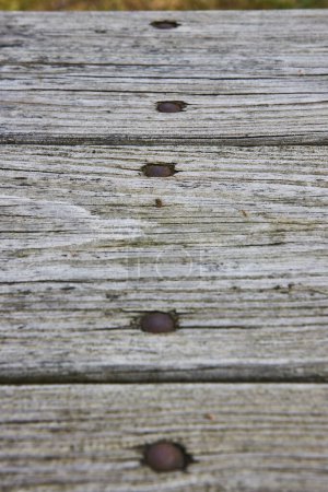 Gros plan sur des planches de bois vieilli à Lindenwood Preserve, Indiana, mettant en valeur le charme rustique et les textures naturelles en plein soleil.