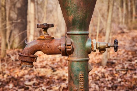 Vintage rusted water spigot standing contrast against autumnal forest backdrop in Lindenwood Preserve, Indiana, USA - symbolizing industrial decay.