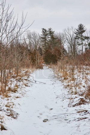 Snowy trail through tranquil winter woodland at Whitehurst Nature Preserve, Fort Wayne, Indiana