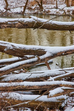 Heitere Winterszene im Cooks Landing County Park mit schneebedeckten Baumstämmen am ruhigen Fluss, die den bewölkten Himmel widerspiegeln