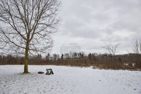 Einsamkeit im verschneiten Fort Wayne: Ein kahler Baum und verlassene Picknickbank im Naturschutzgebiet von Whitehurst