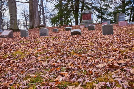 Otoño susurra en Lindenwood Cemetery, Indiana. Una alfombra tranquila de hojas caídas cubre el suelo, marcando el tiempo y la memoria en el ciclo de la naturaleza.